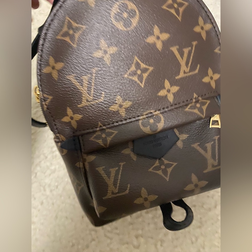Lv palm spring mini backpack